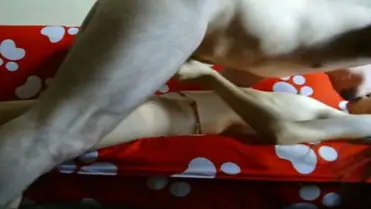 Bokep Indo ABG Bispak Jakarta Terekam ML Hotel Skandal Viral HD 2025 poster